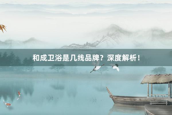 和成卫浴是几线品牌？深度解析！